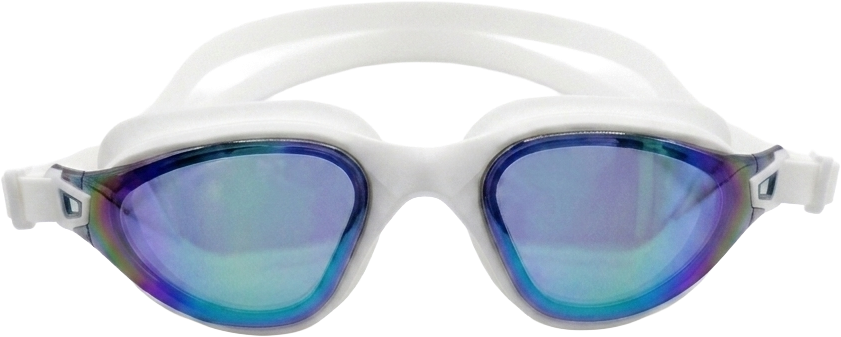 horizonv1