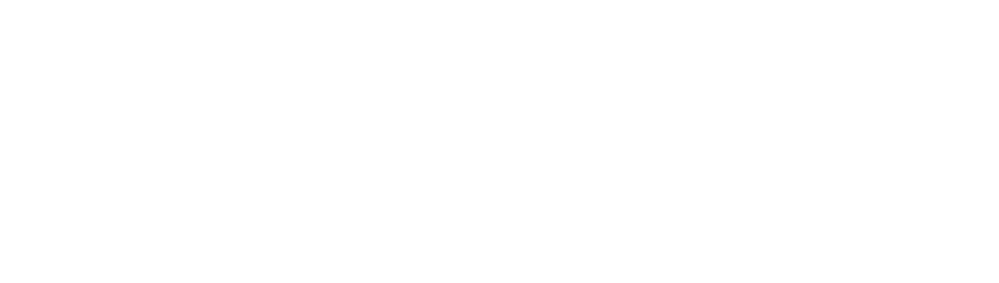 logo full aua white